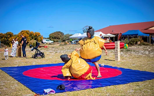 Sumo Suits